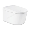 Grohe Sensia Pro Shower Toilet Cycle Model