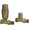 Swan Ouse Thermostatic Straight Valve - Brushed Brass